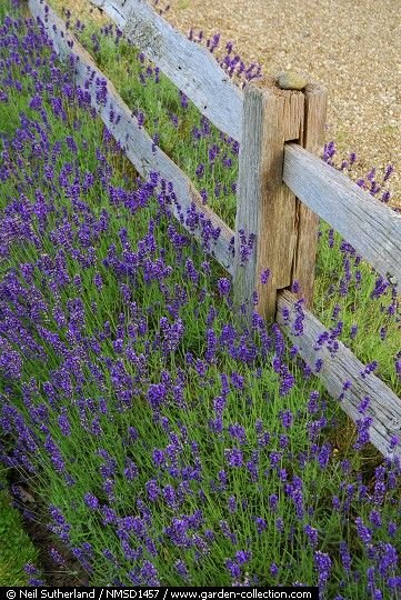 cfd8334fd614549c17dc9d6dd443e53c