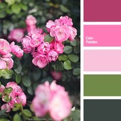 05_dekoráció színei