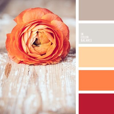 12_dekoráció színei