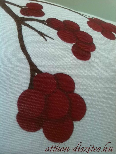 01_kolibris-bogyos diszparna