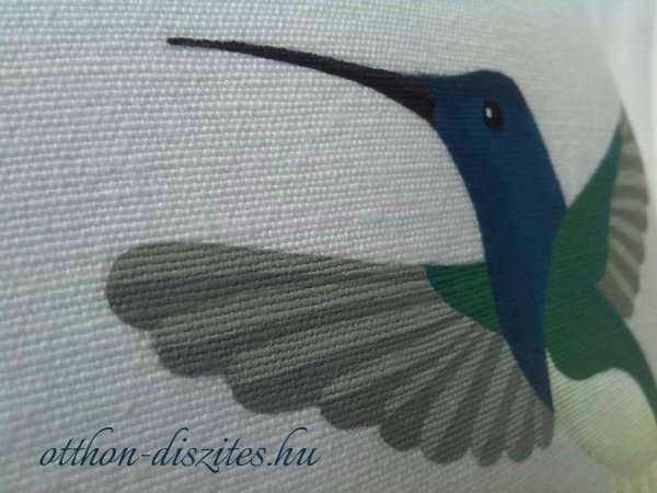 0_kolibris-bogyos diszparna